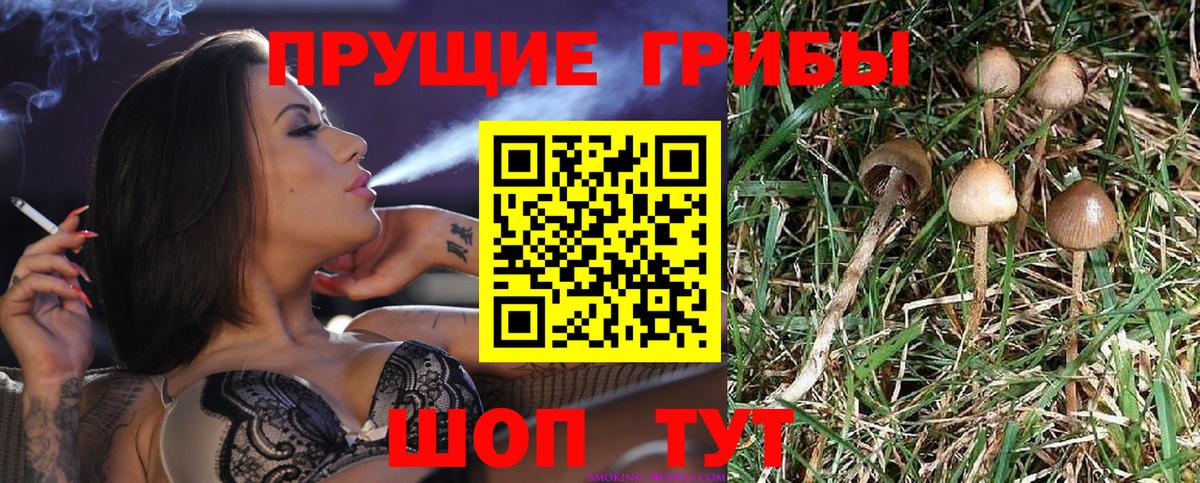 где найти наркотики  Псилоцибиновые грибы MAGIC MUSHROOMS  Вход с VPN  Псилоцибиновые грибы ЛСД  Димитровград 